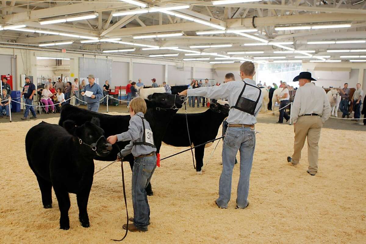 Cow Palace opens gates to Grand National Rodeo