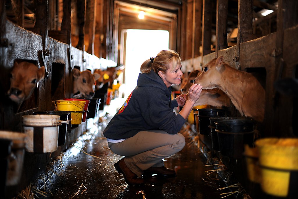 Artisan cheese makers abound in Sonoma and Marin