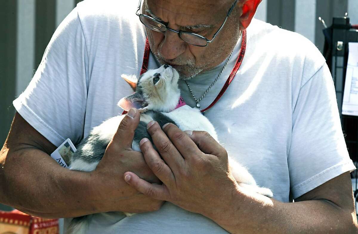 senior dating san francisco cat rescue