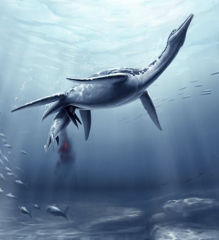 plesiosaur not a dinosaur