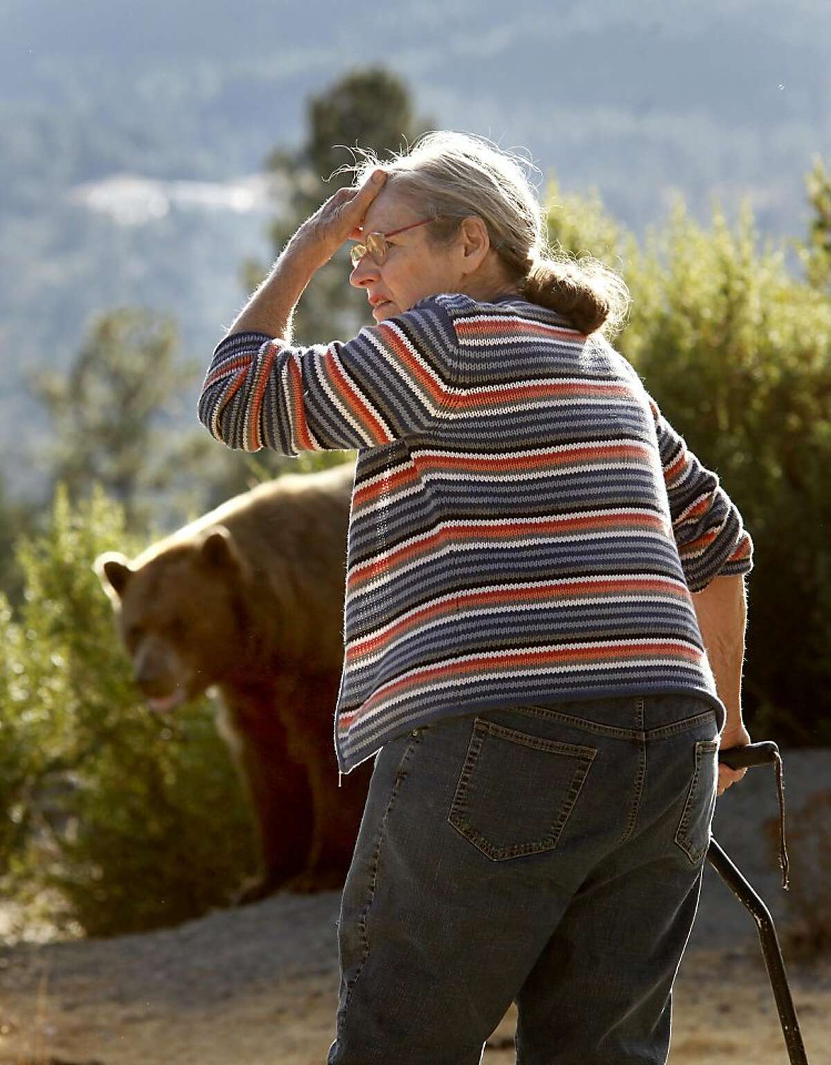 Lynne Gravier is worried about the physical health of the bear she finds on her property. Lynne Gravier, a Mendocino County woman who has been feeding bears for many years, had her home raided by state Fish and Game officials and has had to vacate her place above Laytonville, Calif. Ran on: 09-27-2010 Lynn Gravier has been feeding bears on her Mendocino County property for many years. Ran on: 09-27-2010 Lynn Gravier has been feeding bears on her Mendocino County property for many years. Ran on: 09-27-2010 Lynn Gravier has been feeding bears on her Mendocino County property for many years. Ran on: 09-27-2010 Lynn Gravier has been feeding bears on her Mendocino County property for many years.
