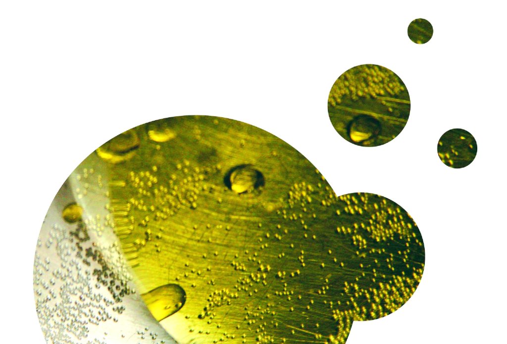 Cooking oil Down the drain or in the compost bin?