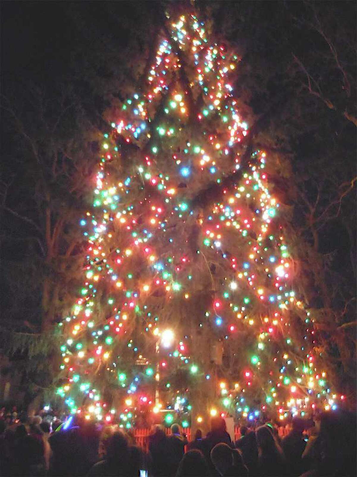 Symbol of holidays Fairfield lights Christmas tree