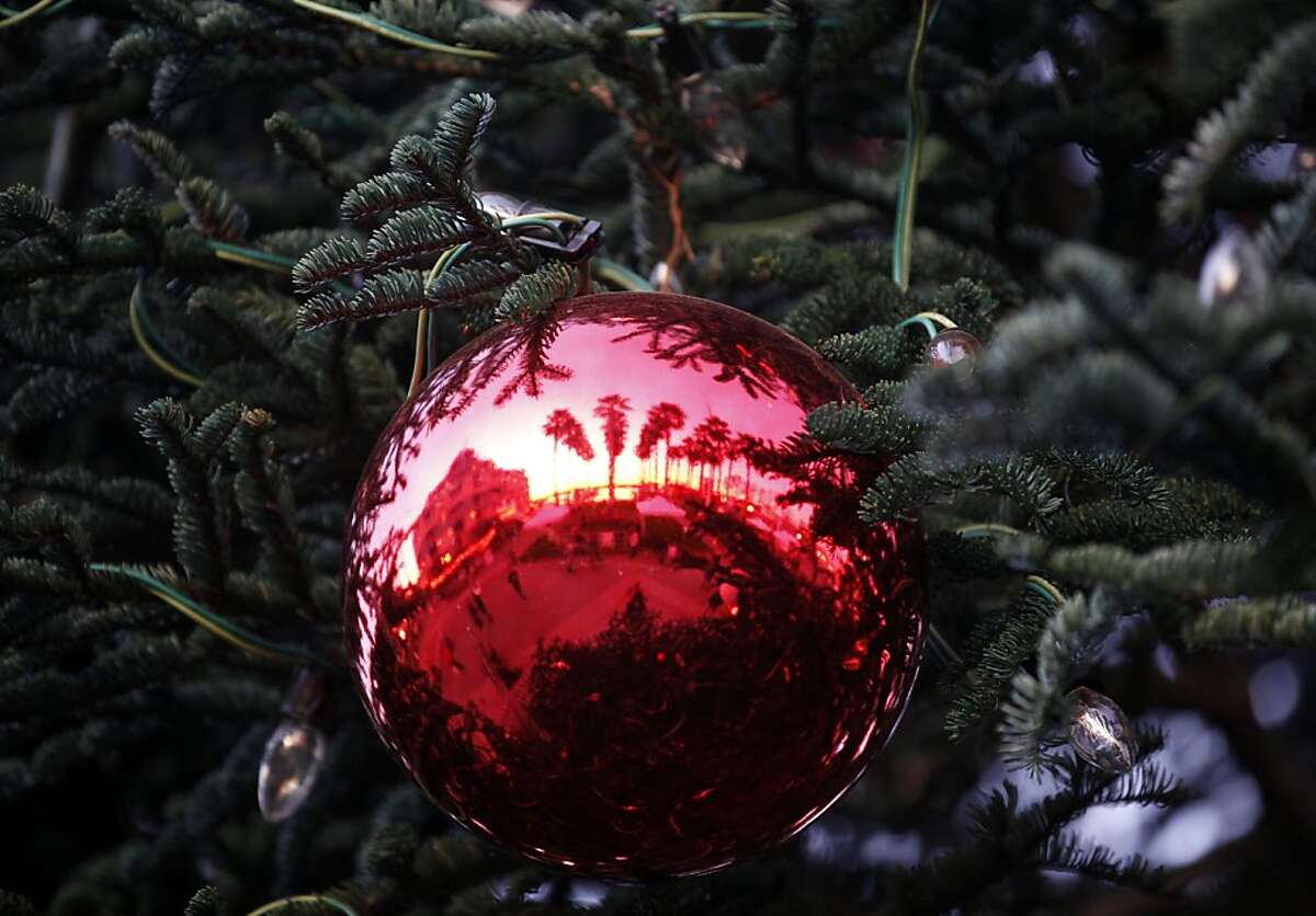 Tree lighting ceremony in Jack London Square