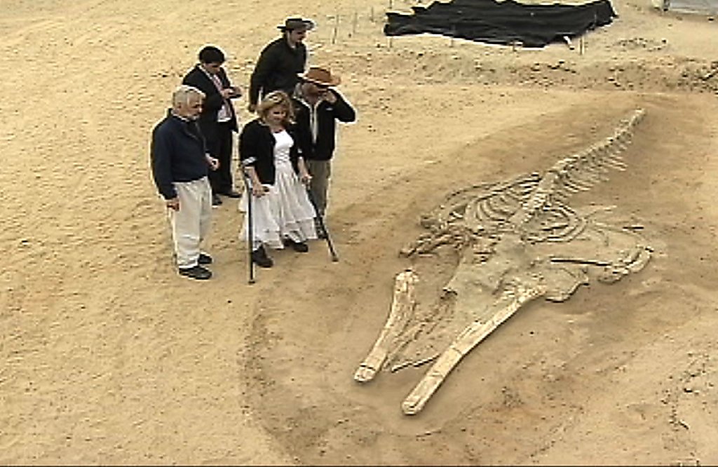 Prehistoric whale fossils emerge from Chile desert