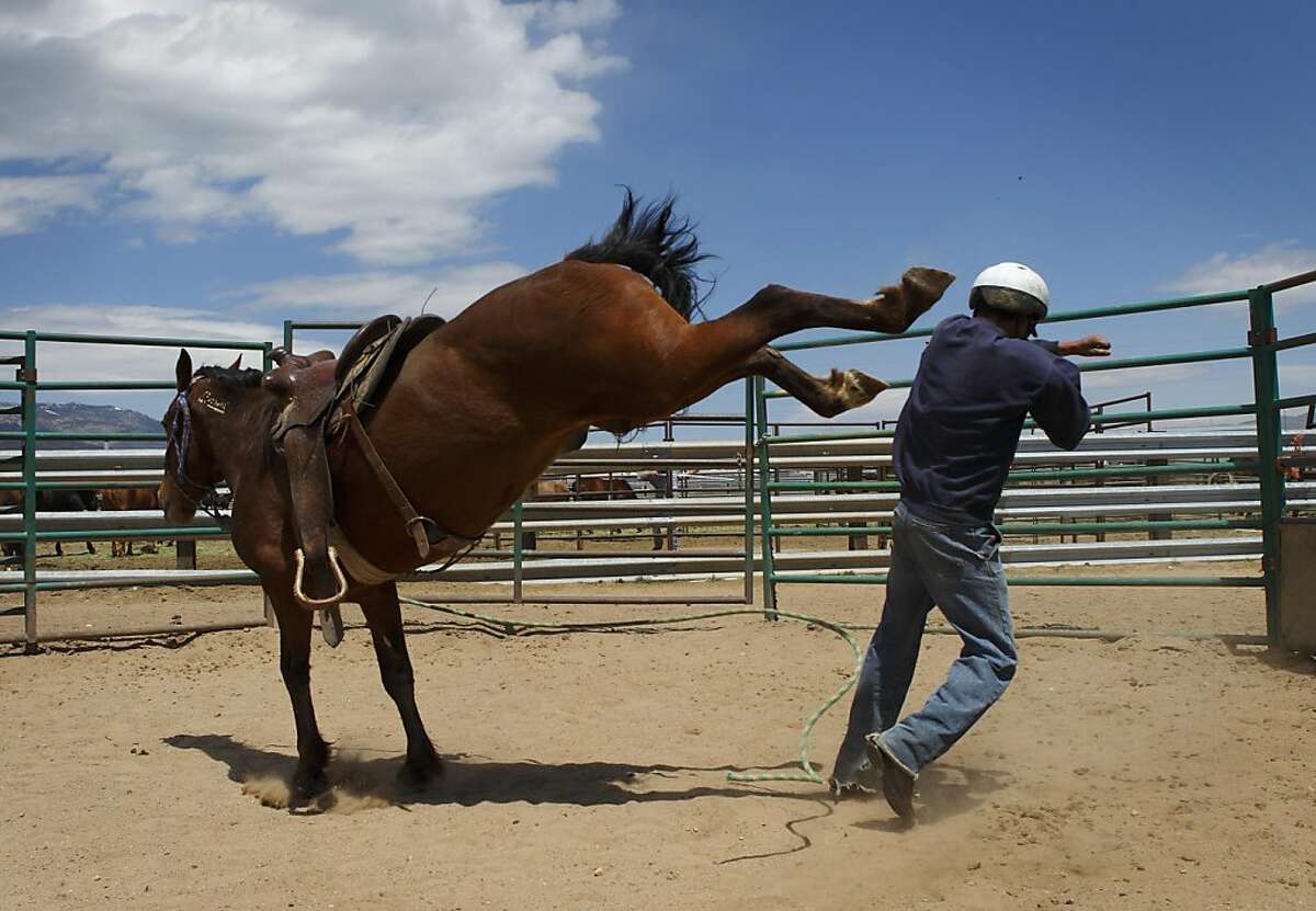 Mustang boot camp Nevada style