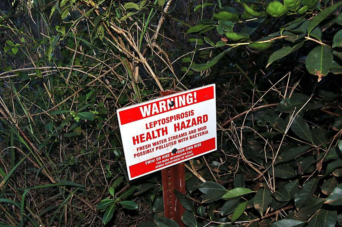 Hawaii's most dangerous spots (and how to survive them)