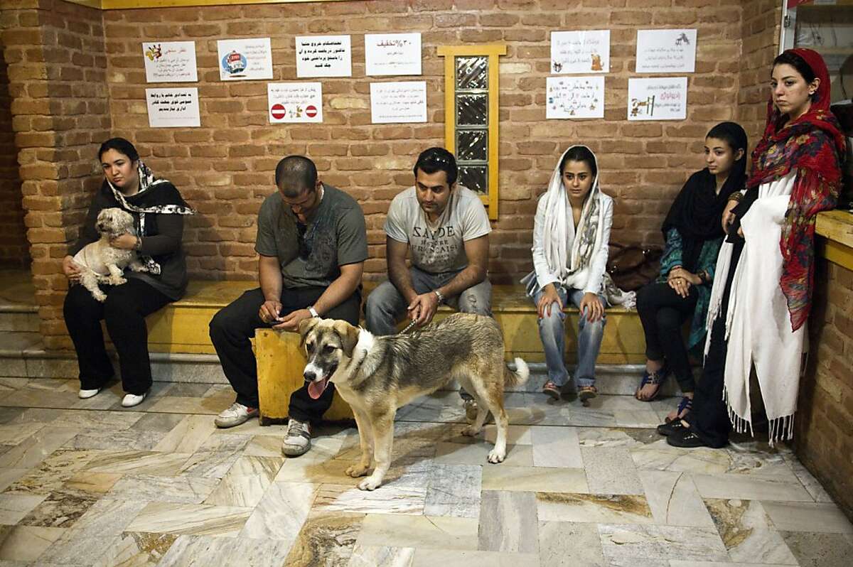 Iran's canine lovers face possible dog ban