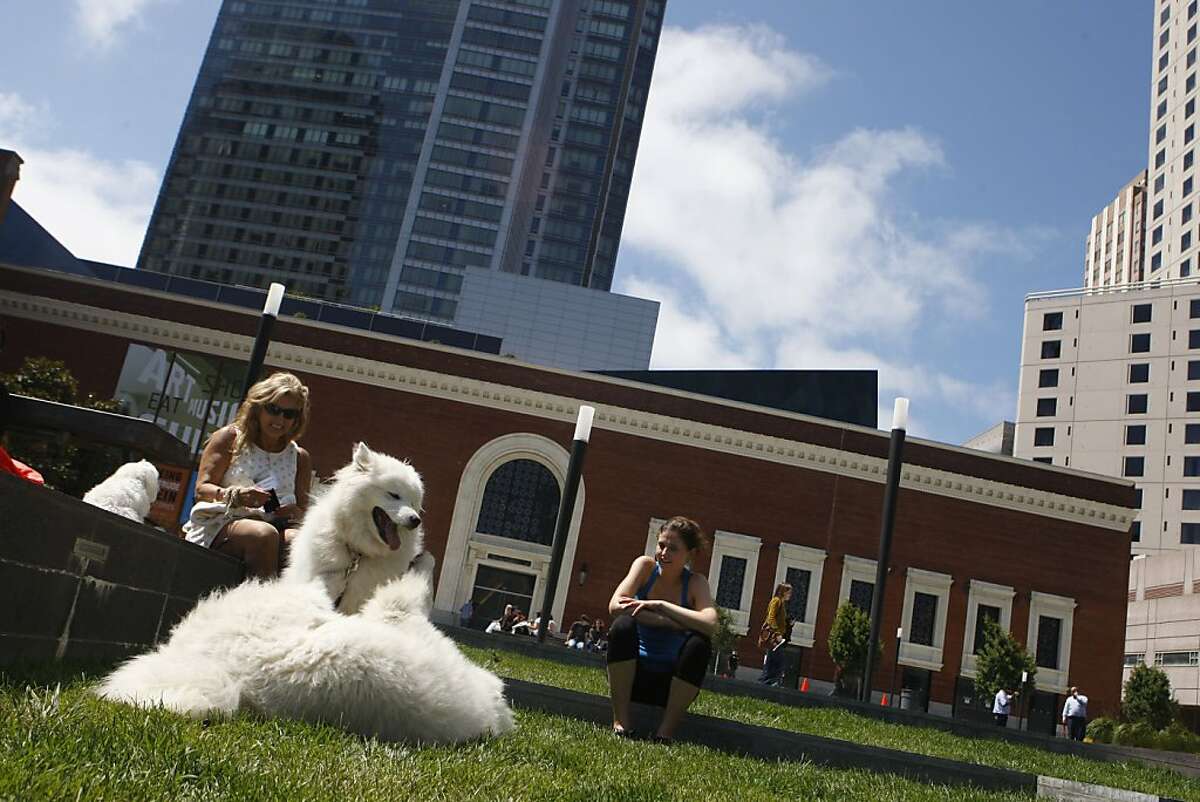 Dog owners Dana Watkins from Atlanta and Alison Doyle of San Francisco let their dogs play in an outdoor plaza on Mission Street across from the Yerba Buena Center in San Francisco Calif., on July 23, 2011.
