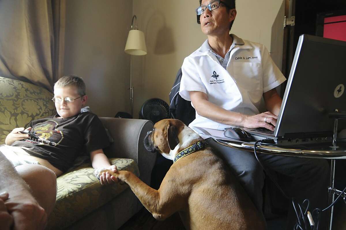 Veterinarian Calvin Lum makes house calls