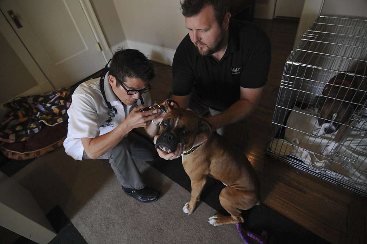 Veterinarian Calvin Lum makes house calls
