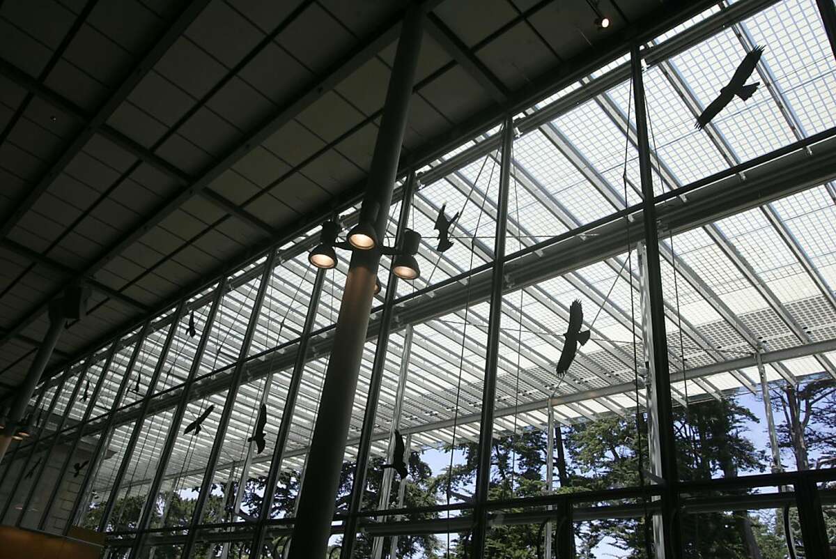 Stickers of silhouettes of birds of prey are on the windows of the East end of the California Academy of Sciences to keep birds from fatally flying into the glass during migratory season. The city is making efforts to plan for bird safety in new building construction.