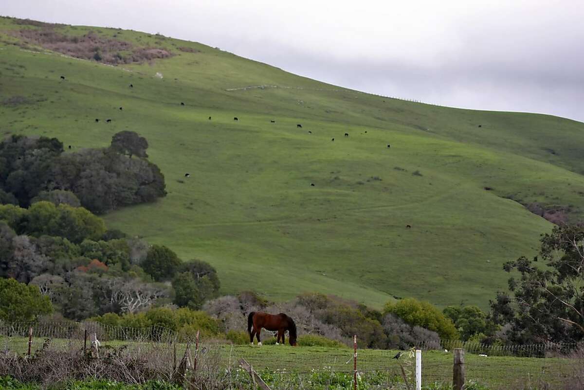 Highway 1, Point Reyes Station