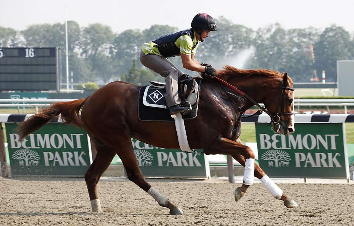A Horse and rider exercise on the track during a morning