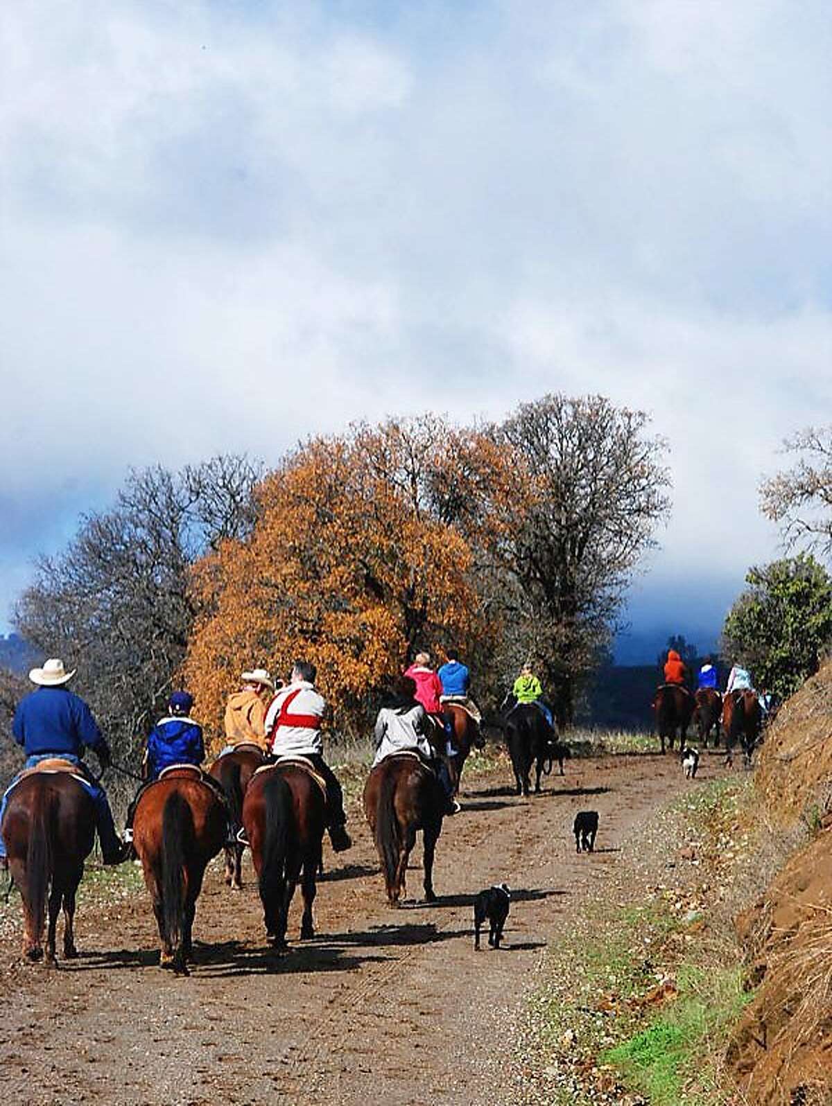 Find your inner cowboy in Monterey County's backcountry