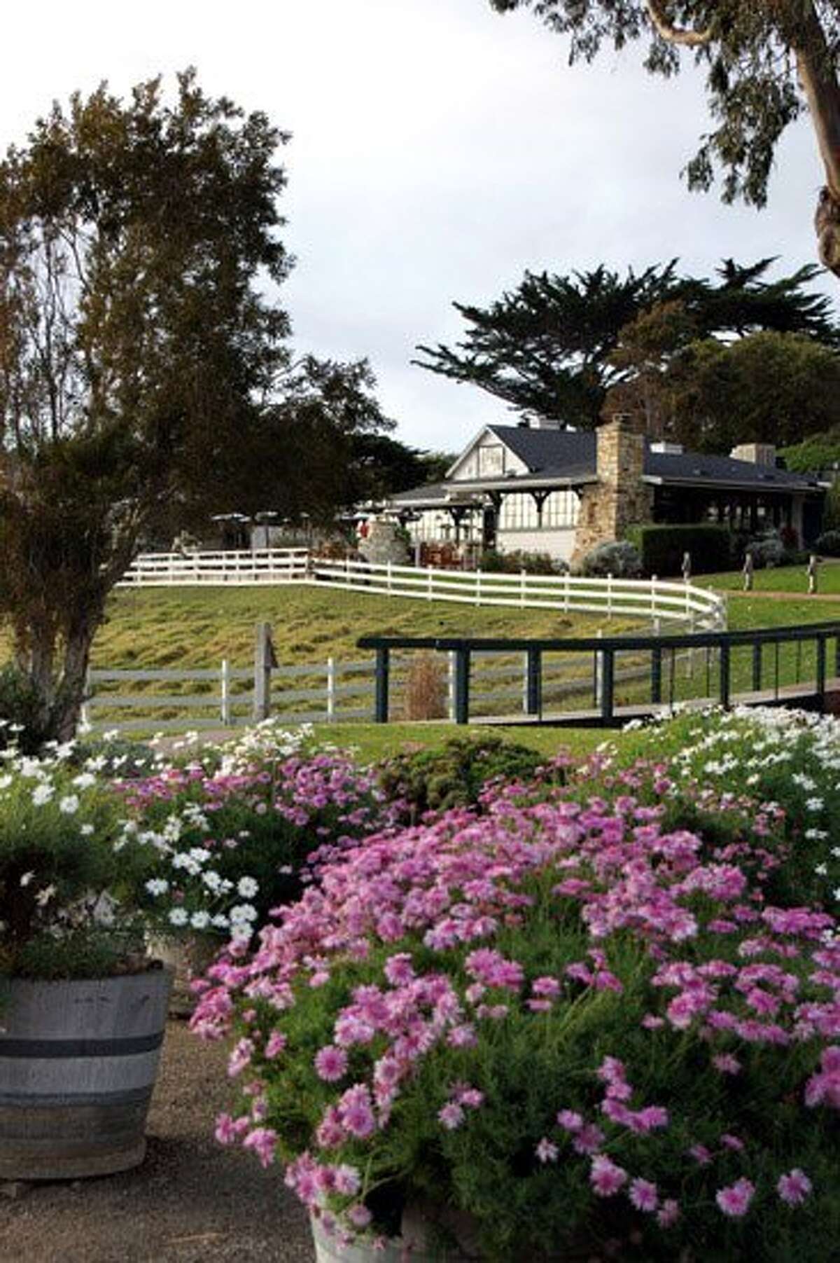 Find your inner cowboy in Monterey County's backcountry
