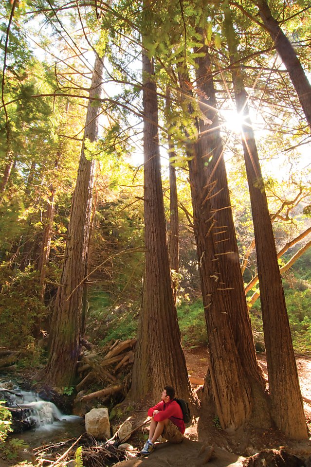 5 great parks for a picnic in Monterey County