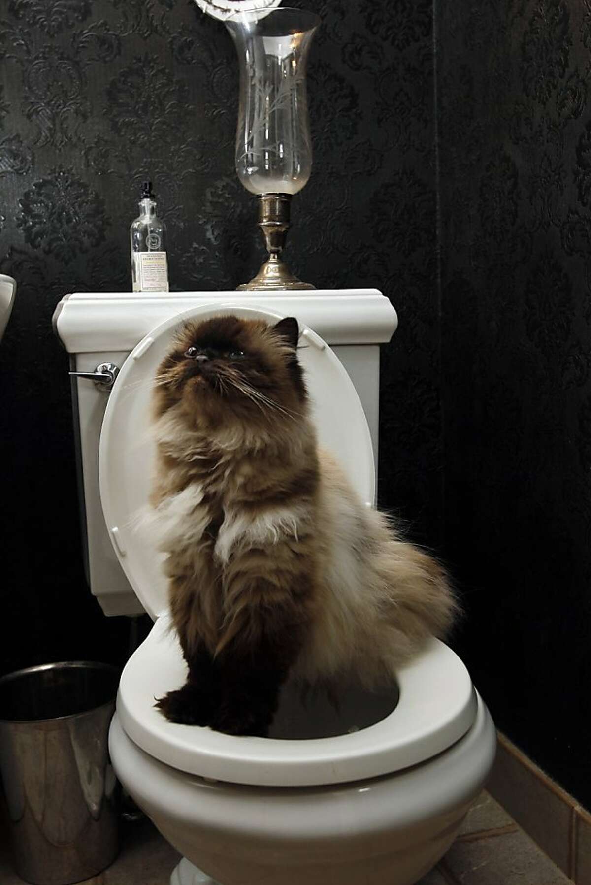 2011 Year in Pictures May 2011