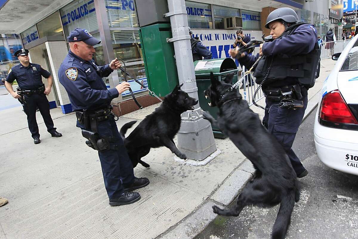 A New York City police patrol dog with Operation Hercules, right, barks at another patrol dog outside the police station in New York's Times Square on Monday, May 2, 2011. President Barack Obama announced Sunday night that Osama bin Laden was killed in anoperation led by the United States.