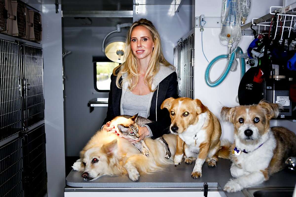 Vanessa Getty, philanthropist and socialite, who works with the Peninsula Humane Society and helps fund this mobile spay and neuter van, is seen with one of her cats, Navin, her dog, Emily, and her mother's dogs, Henry and Rex, all of whom are rescue animals, on Wednesday, May 11, 2011 in San Francisco, Calif.