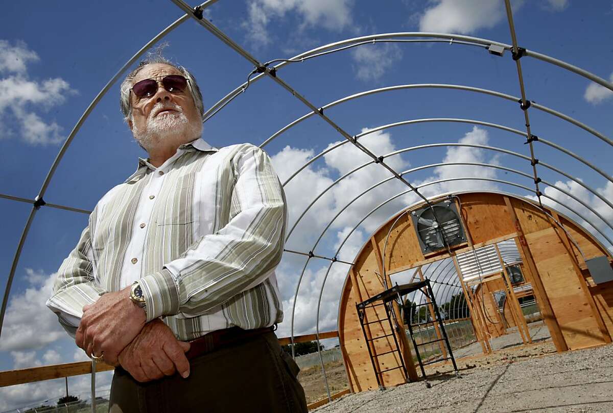 Isleton City Manager Bruce Pope stands in the middle of one of the large greenhouses Monday April 25, 2011 that will house the marijuana. The entire management of the tiny Delta town of Isleton, Calif., has been subpoenaed to testify before a grand jury about their plans to grow marijuana, for medicinal purposes. They hope the pot farm will boost the city budget.