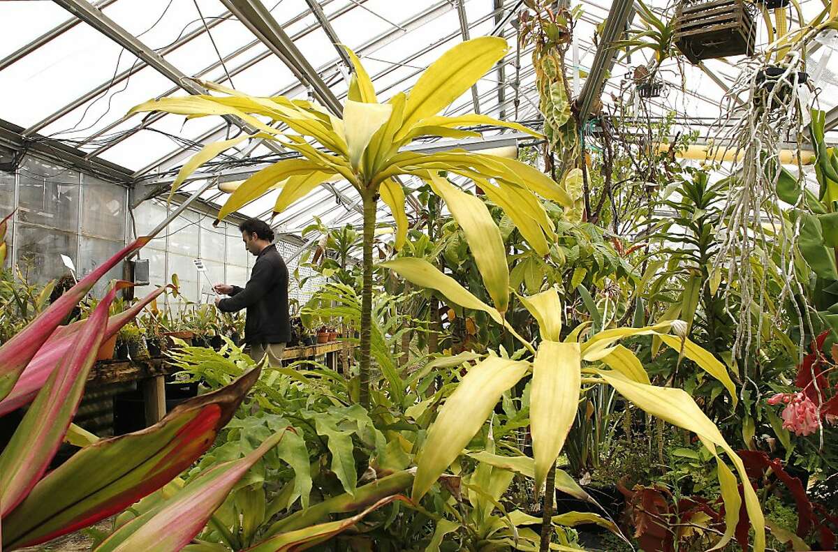 Suit filed to preserve College of San Mateo garden