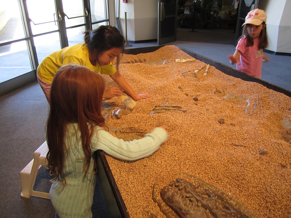 'Dinosaurs Unearthed' at Lawrence Hall of Science