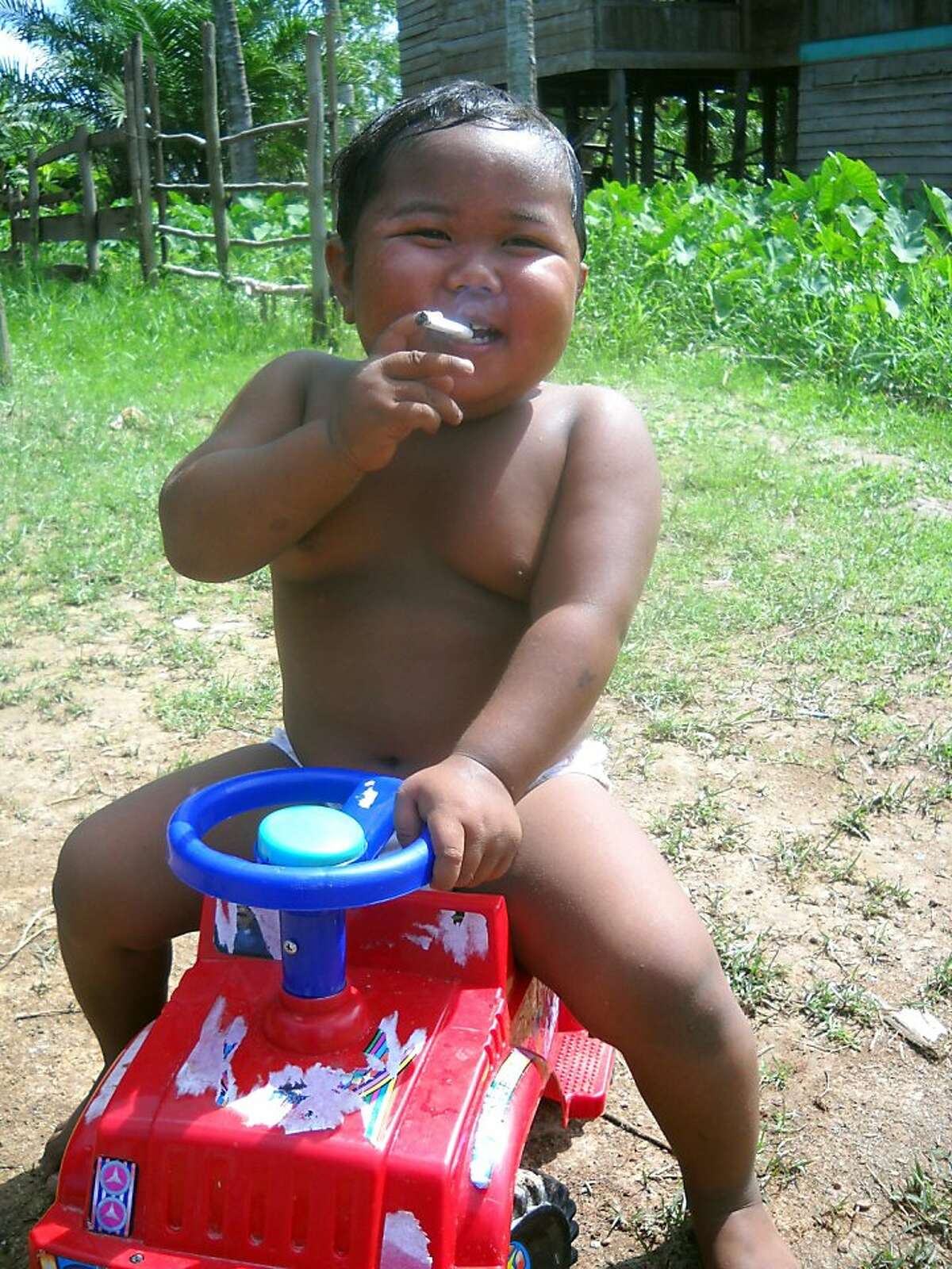 In this photograph taken on May 16, 2010 two-year-old Indonesian boy Ardi Rizal puffs on a cigarette while playing on a plastic toy jeep in the yard of his family home in a village on Sumatra island. A new video of a smoking Indonesian toddler has emerged to shock health experts and provide further graphic illustration of the Southeast Asian country's growing addiction to tobacco. His father reportedly gave him his first cigarette when he was 18 months old and now he smokes 40 a day. Child Protection Ministry official Heru Kasidi said the family would be investigated for what would be considered a clear case of child abuse in many countries.