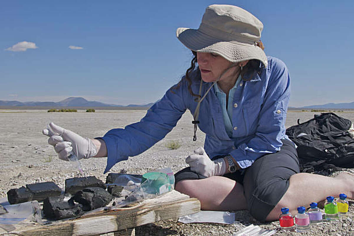 Felisa Wolfe-Simon, a NASA astrobiologist, takes samples from a sediment core she pulled up from the shore of Mono Lake in California. Scientists on Dec. 2, 2010, said that they had trained a bacterium to eat and grow on a diet of arsenic, in place of phosphorus -- one of six elements considered essential for life -- opening up the possibility that organisms could exist elsewhere in the universe or even here on Earth using biochemical powers we have not yet dared to dream about.