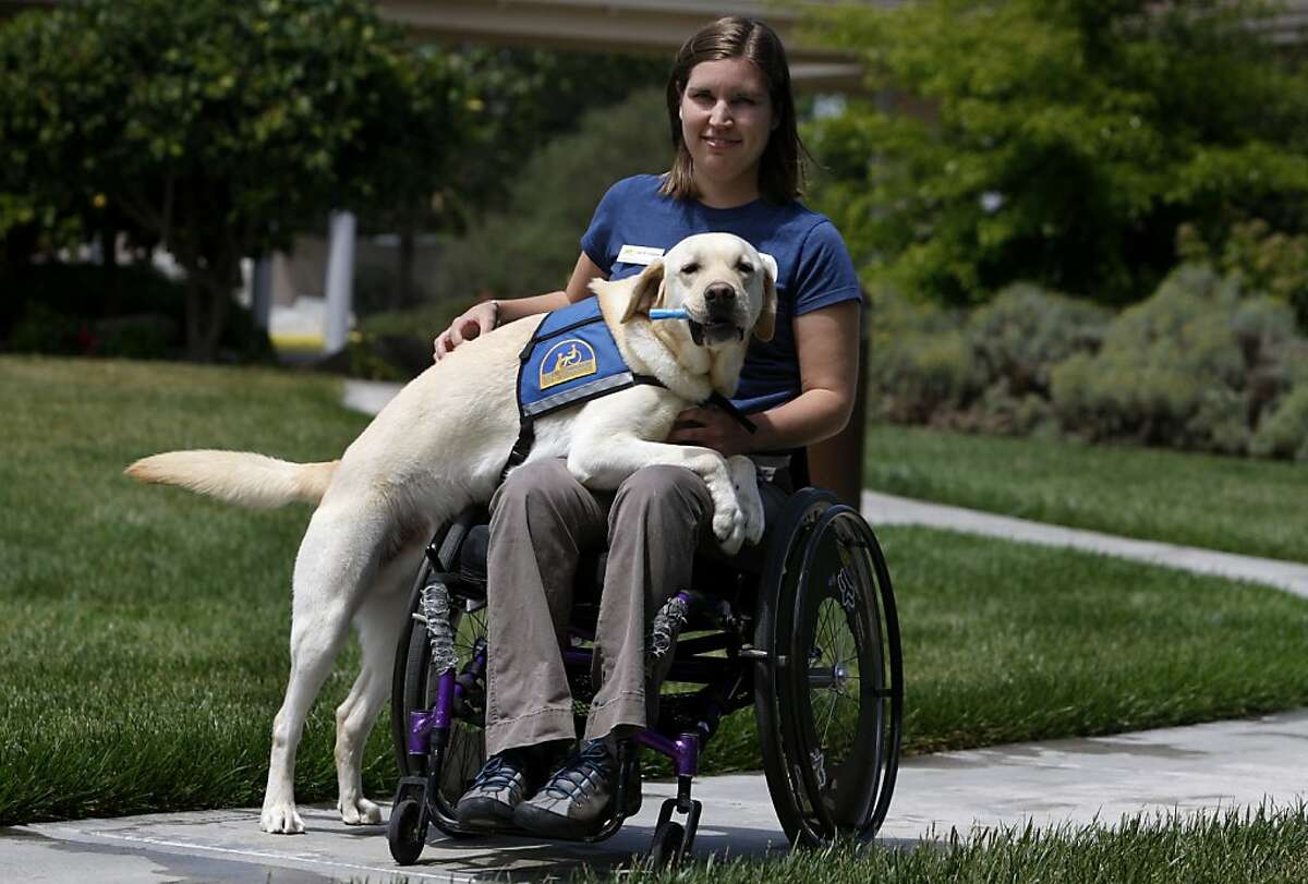 What I Do: Courtney Wannarka, service-dog trainer