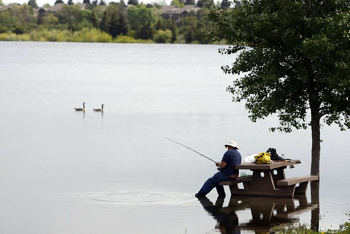 Quarry Lakes Regional Recreation Area, Fremont