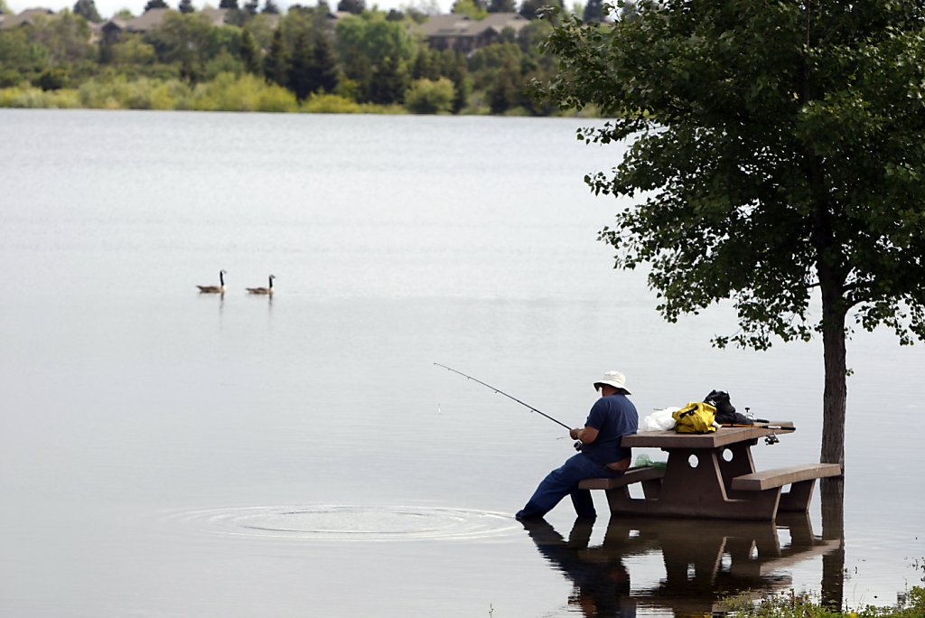Quarry Lakes Regional Recreation Area, Fremont