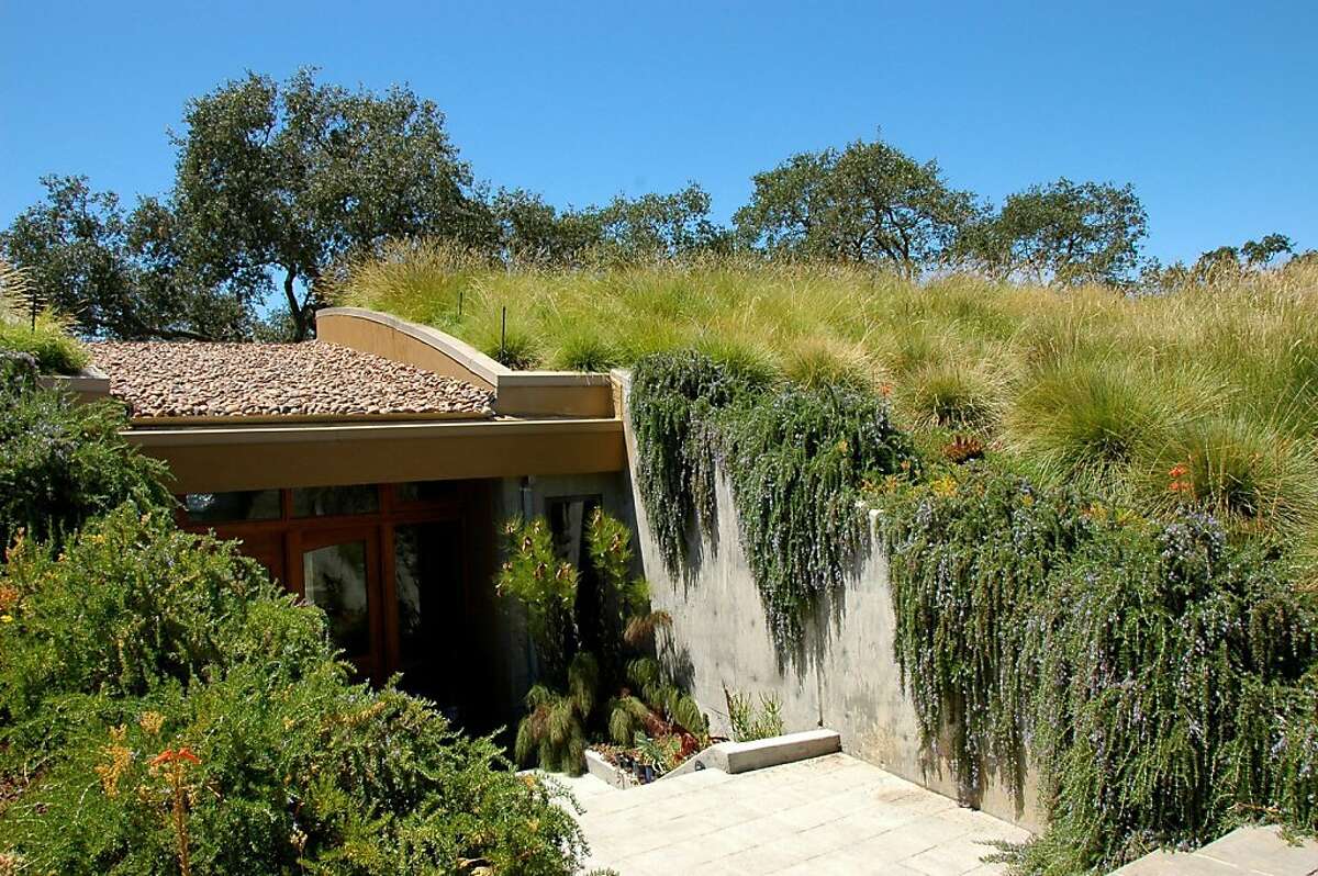 Native and non-native grasses cover the meadow roof of Ted Buttner and Rosemary Chang's home. Cynthia Tanyan, of Mozaic Landscape Design, sold them on a meadow roof that would blend visually with the open spaces of Pleasanton Ridge Regional Park across the fence line.