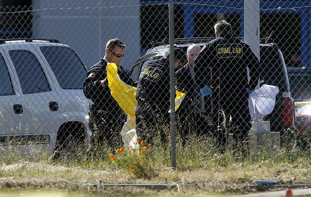 Dublin cop kills homeless man who attacked her