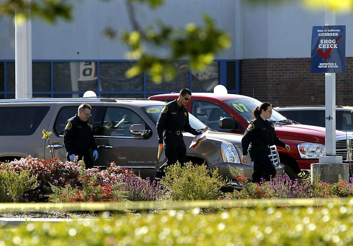 Dublin cop kills homeless man who attacked her