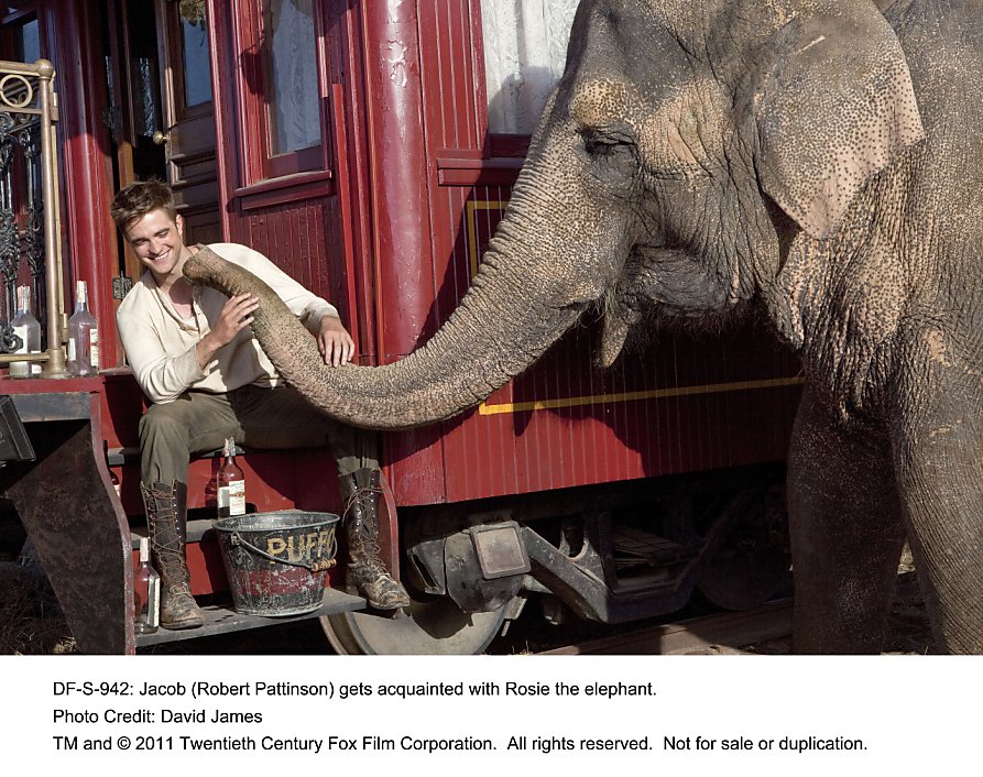 'Water for Elephants' review Highwire circus act