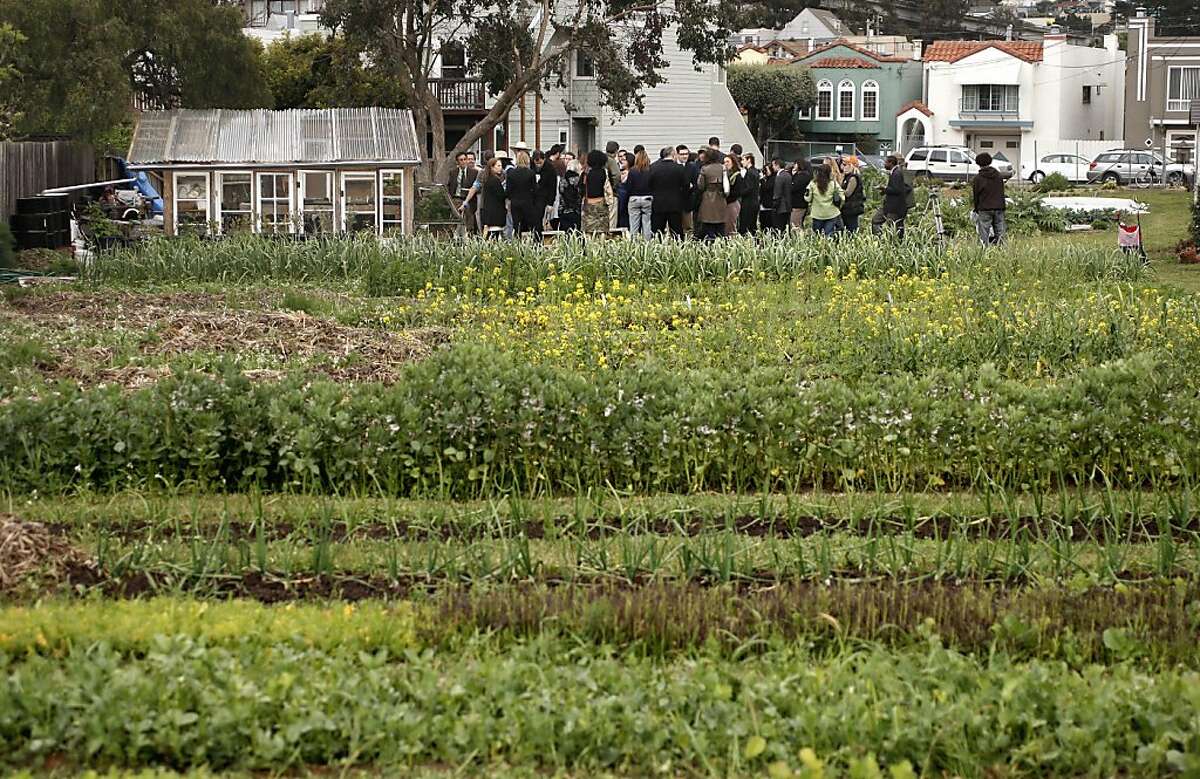 'Urban agriculture' takes root with law