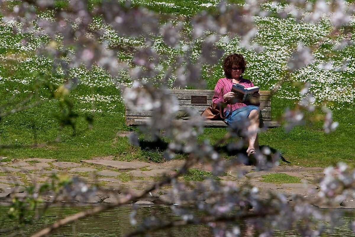 Marcia Lewana of New Jersey reads a book in the Botanical Gardens in Golden Gate Park on April 4, 2011 in San Francisco, Calif. Photograph by David Paul Morris/Special to the Chronicle
