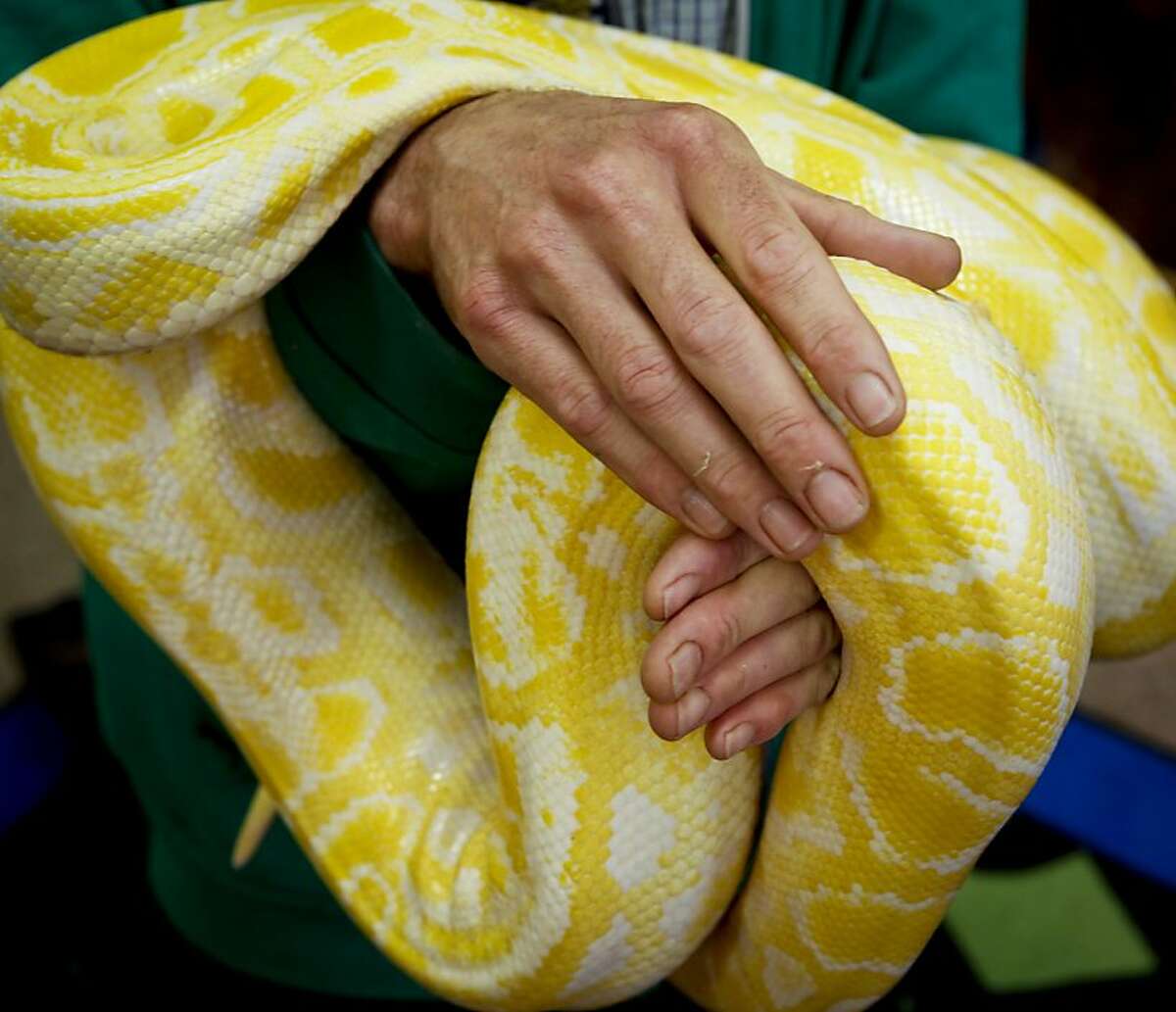 Zoologist Chris Giorni Brings Nature To Classroom