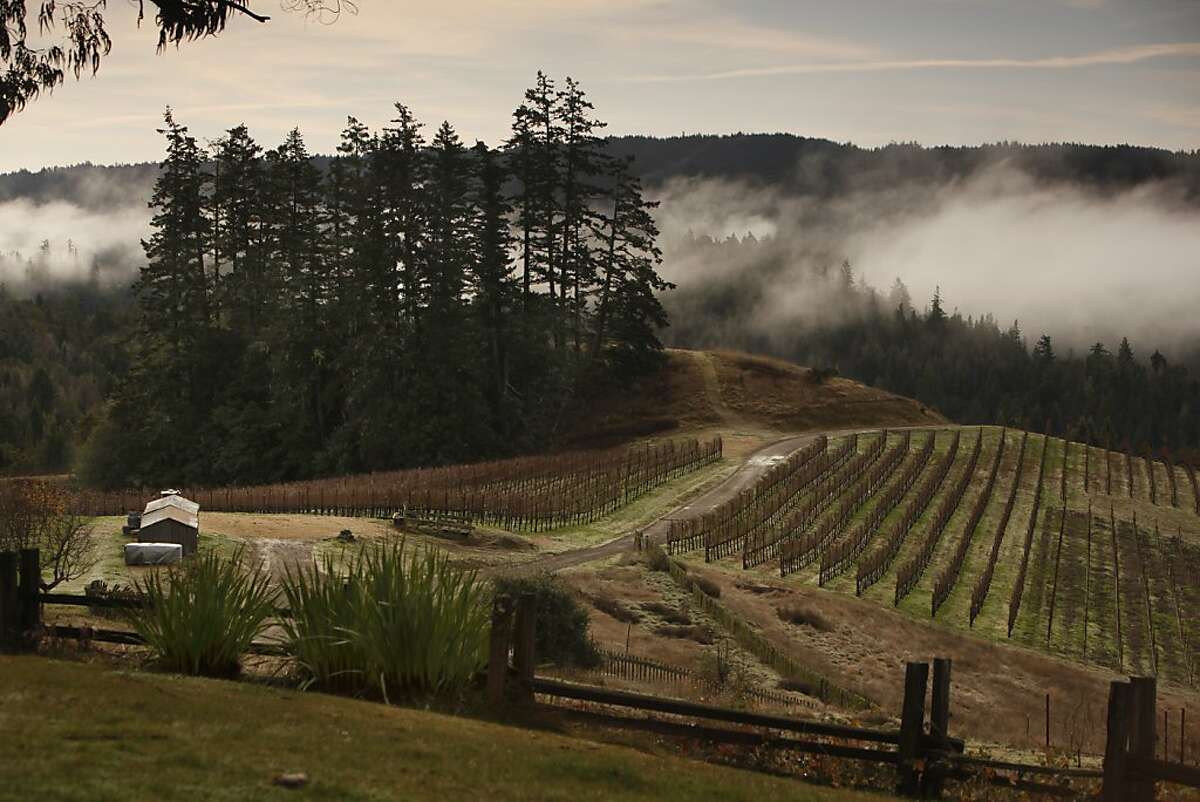 Peay Vineyards in Annapolis, Calif., on December 17, 2009.