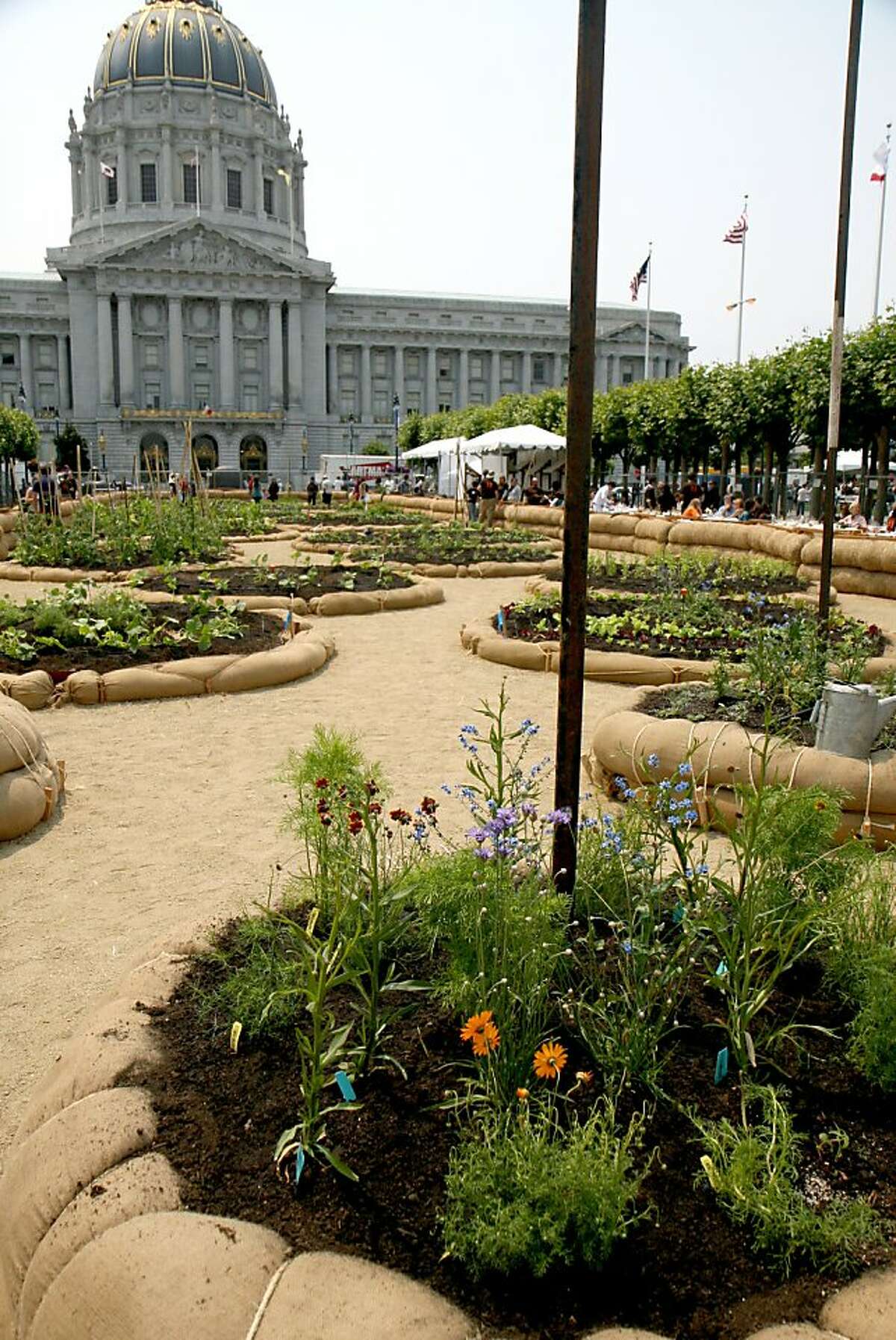 Remembering the victory garden