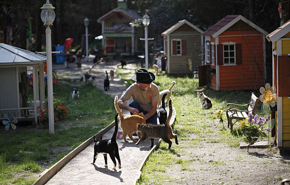 SFGate Day in Pictures