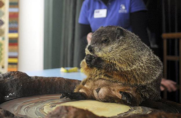 what happens when the groundhog dies on groundhog day