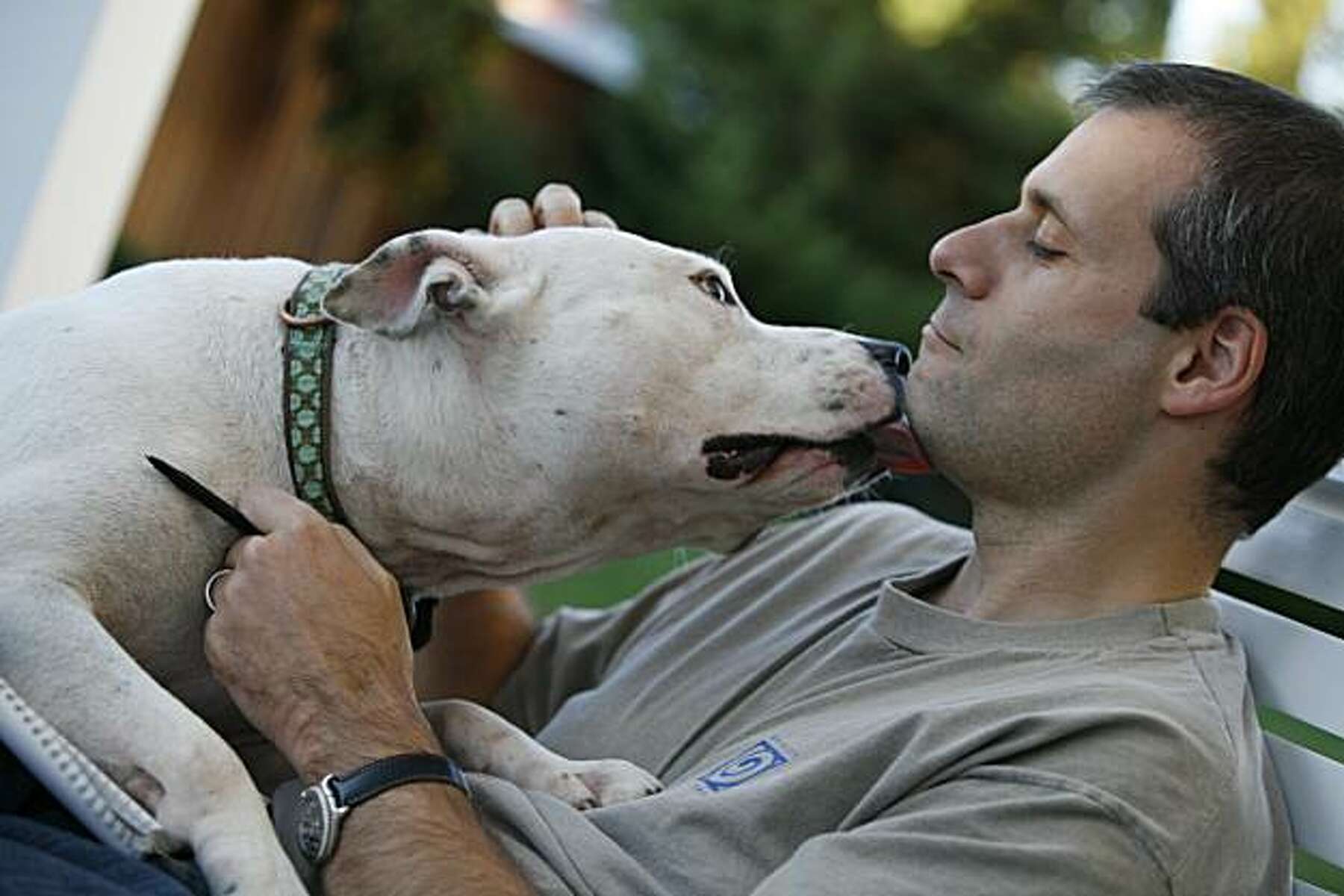 The Lost Dogs: Michael Vick s Dogs and Their Tale of Rescue and Redemption