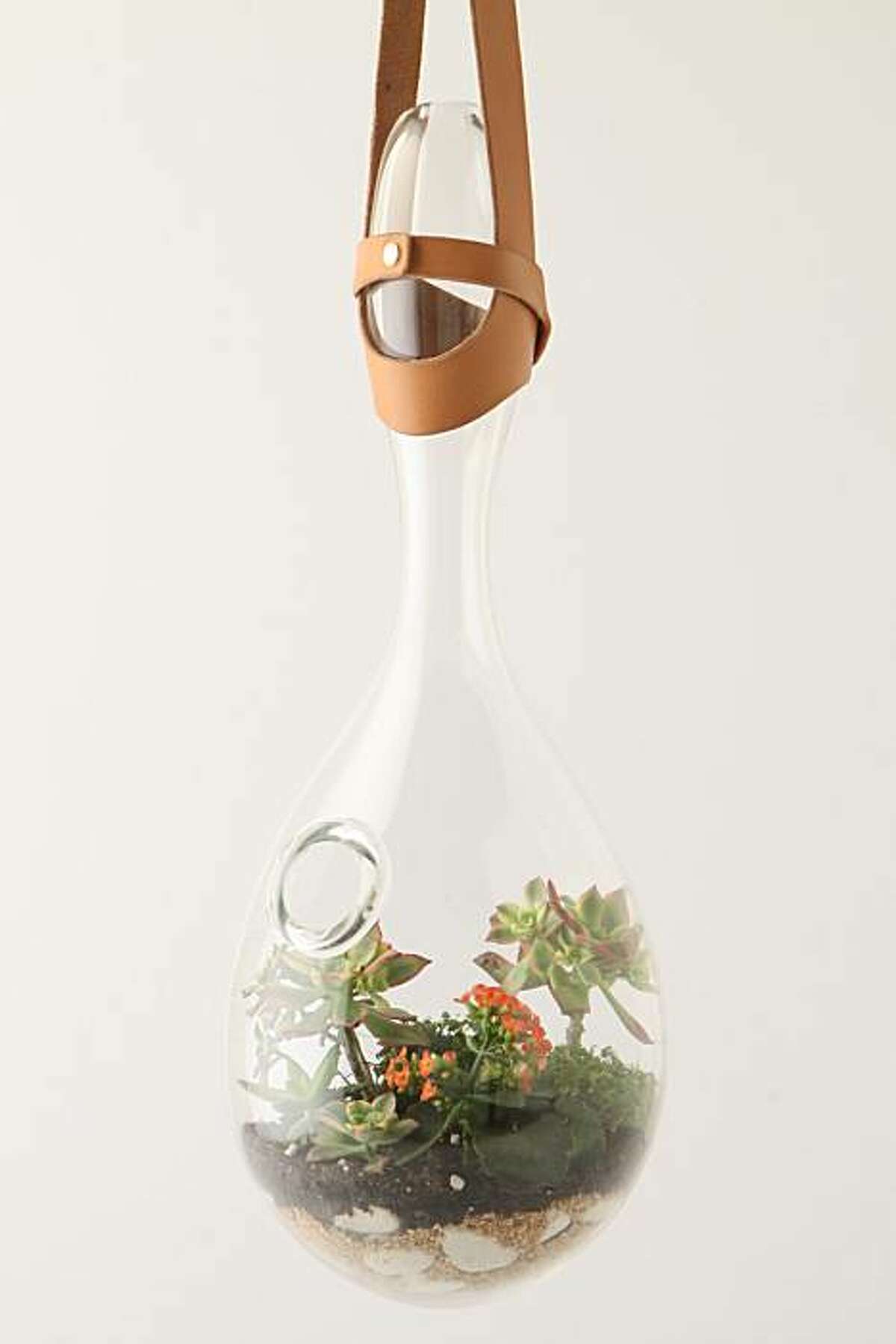 Hanging terrarium trend boosted with new shapes