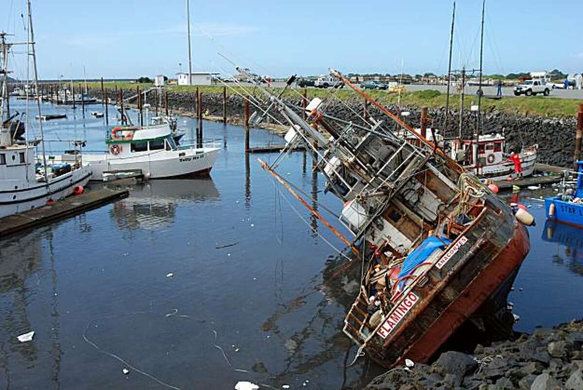 Tsunami Causes Millions In Damage In California