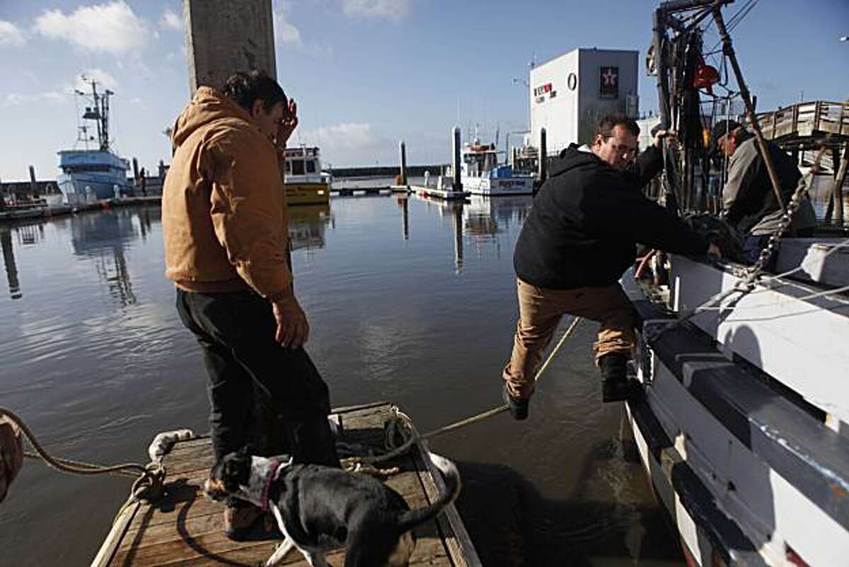 Tsunami causes millions in damage in California