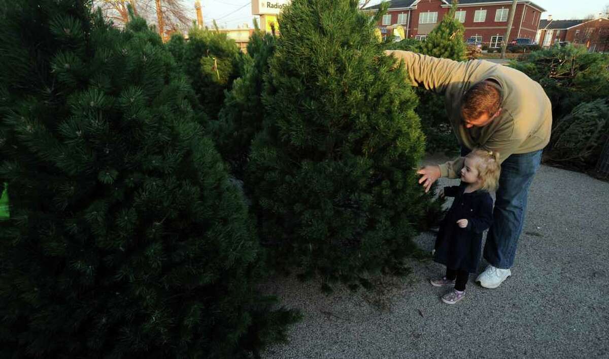 Is it a Christmas tree that Damian Shoemaker and daughter Eliana, 2, are seeking in Owensboro, Ky., or a tree of another name? A reader sheds light on the annual tree debate.