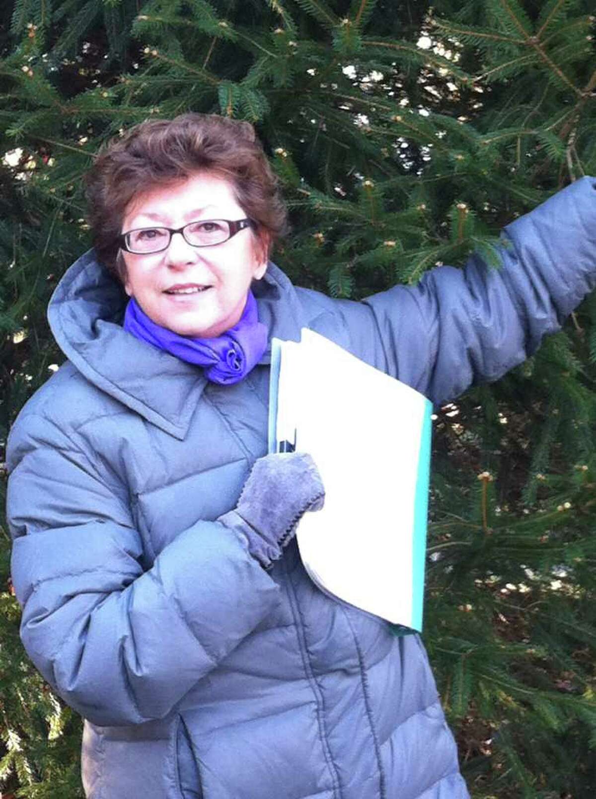 Director Joy Lenters gives the stage crew a hand with fresh evergreen trees that will create the backdrop for the live nativity during a recent rehearsal.