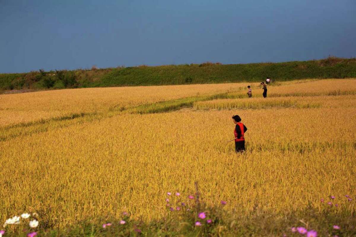 In this Saturday, Oct. 8, 2011 photo, farmers stand in a field outside the eastern coastal city of Wonsan, North Korea. In a landmark shift after three years of tensions, the United States is poised to announce in the coming days its first significant donation of food aid to North Korea _ a small but symbolic offer that is expected to pave the way for long-stalled discussions on dismantling Pyongyang's nuclear program.